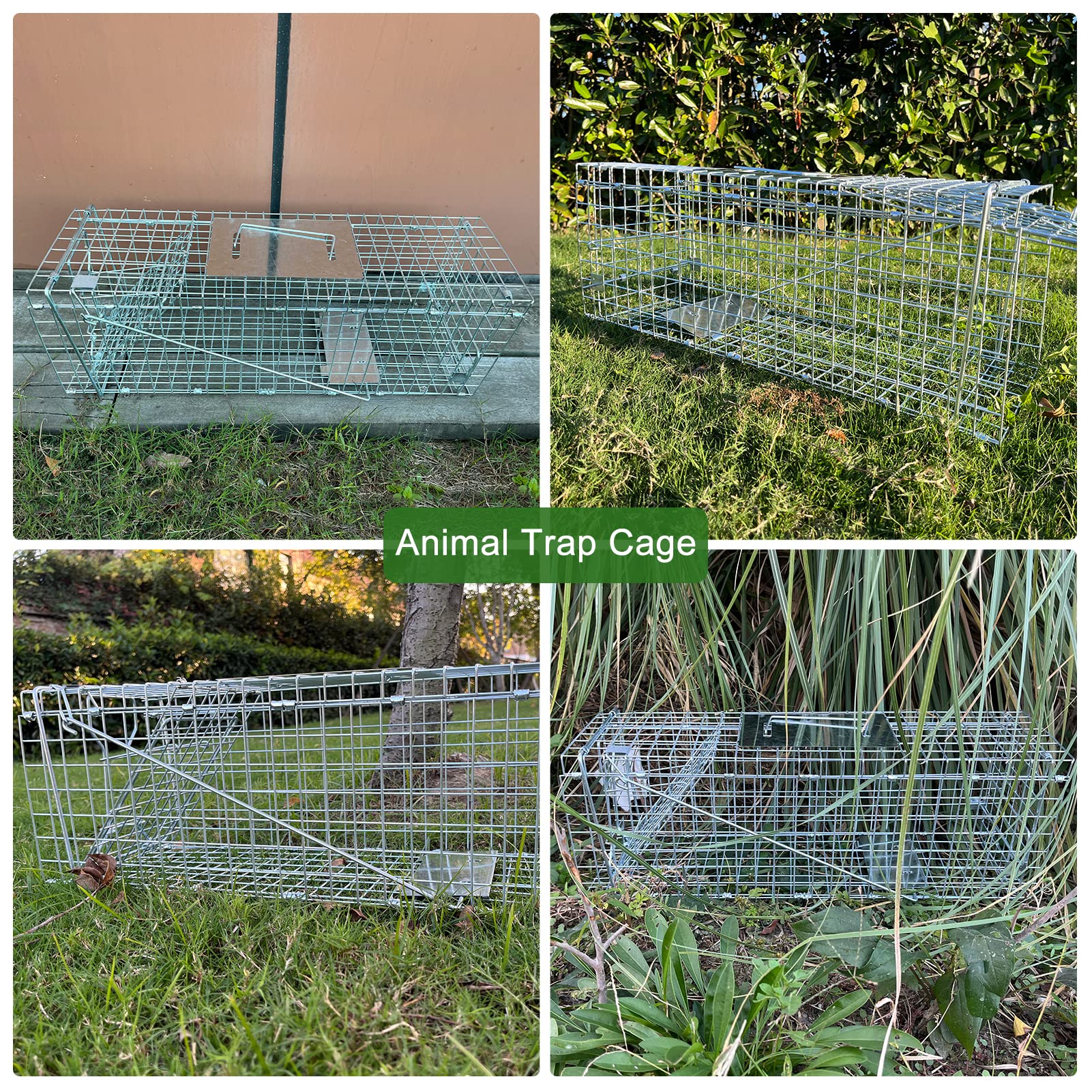 Live Animal Trap for Possum, Groundhog,Gopher,Beaver,Folding Raccoon ...