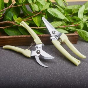 Chantoo Pruning Shears for Gardening, Sharp Plant Trimming Scissors for Precise Cuts, Stainless Steel Garden Scissors