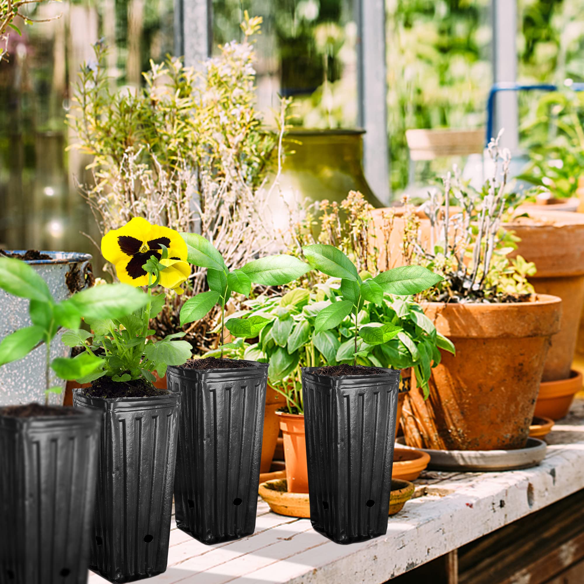 RunNico 50pcs Plastic Deep Plant Nursery Pots,12.2”Tall Tree Pots,Black Deep Seedling Container Pots with Drainage Holes for Indoor Outdoor Gardening (4.72" Wx12.2 H)