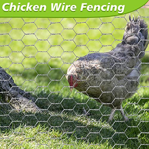 Chicken Wire, 16.9 In × 32.8 Ft Chicken Wire Fencing, Chicken Coop Accessories, 0.6 Inch Hexagonal Galvanized Wire Mesh for Rabbit Garden, Protecting Chicken Feeder Waterer, with Pliers & Glove