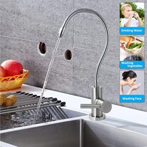 2024 Lead-Free Drinking Water Faucet with Flexible Gooseneck, SUS304 Stainless Steel Beverage Kitchen Water Filter Faucet Fits Most Water Purifier Filter Filtration Systems or Reverse Osmosis Units