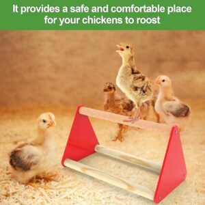 Baby Chicken Supplies, Chicken Brooder Box for Chick Starter Kit with Chick Perch Feeder and Waterer, 4-in-1 Bundles of Home Poultry Essential for Baby Chick, Duck and Quail