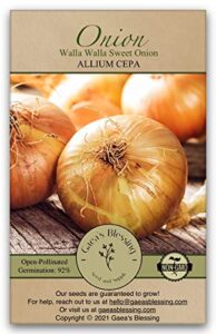 gaea's blessing seeds - onion seeds - non-gmo heirloom seeds with easy to follow instructions (walla walla sweet onion) 93% germination rate