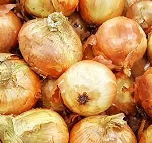 Gaea's Blessing Seeds - Onion Seeds - Non-GMO Heirloom Seeds with Easy to Follow Instructions (Walla Walla Sweet Onion) 93% Germination Rate