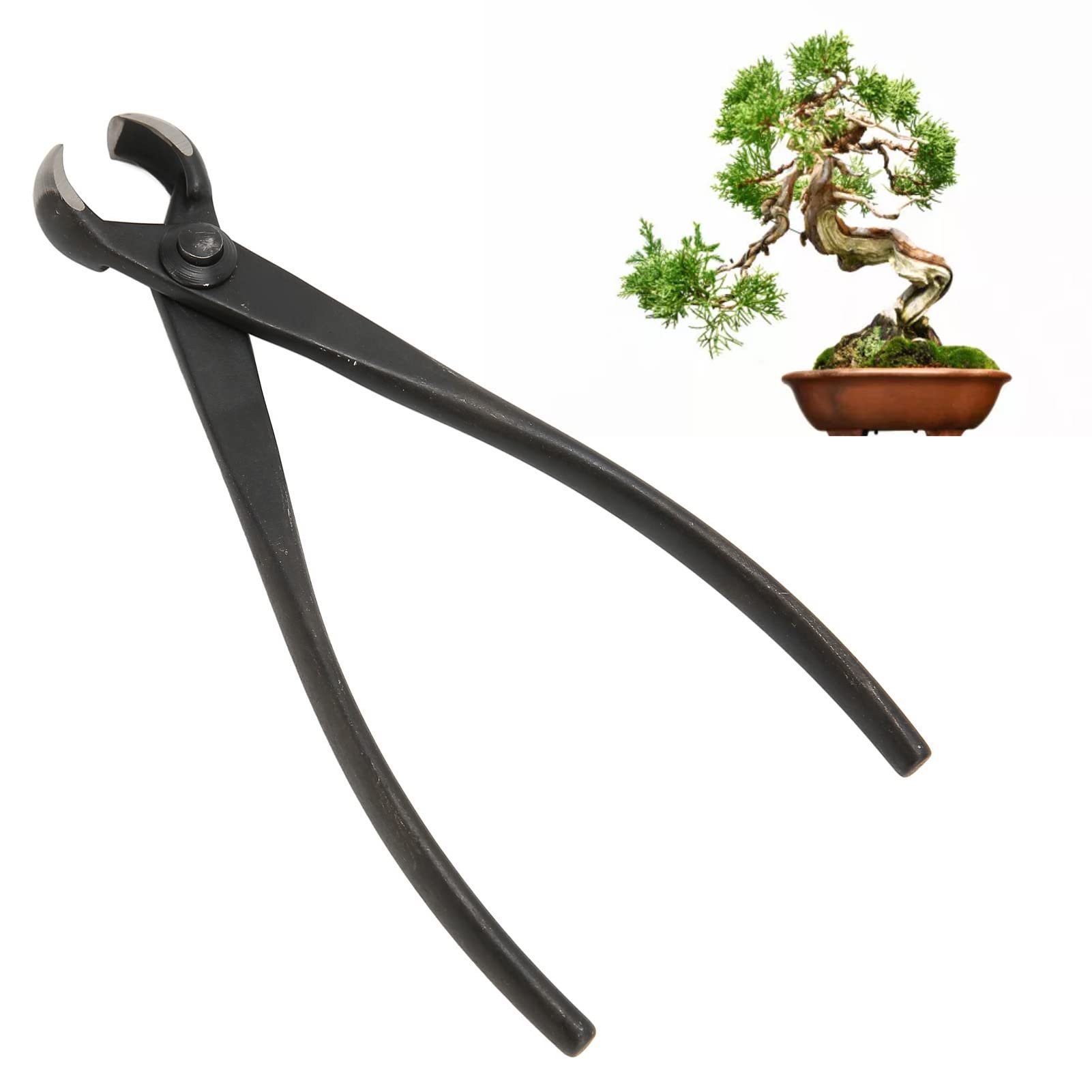 OKJHFD 6.9in Bonsai Tools, Manganese Steel Resistant Easy Branch Cutter Professional Knob Cutter, Straight Edge Pliers Trimmer Gardening Tools for Bonsai Modeling