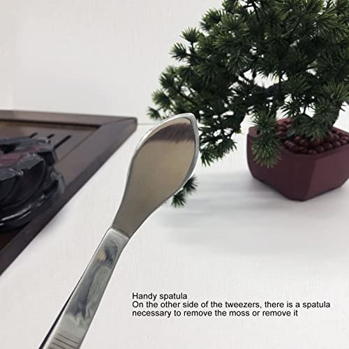 Bonsai Tweezers, Stainless Steel Rustproof Potted Plant Tweezers Easy Maintenance Straight Tip for Garden