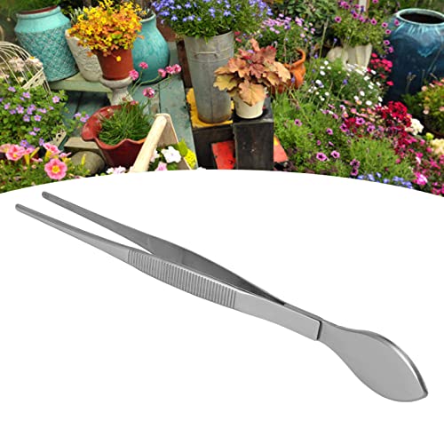 Bonsai Tweezers, Stainless Steel Rustproof Potted Plant Tweezers Easy Maintenance Straight Tip for Garden