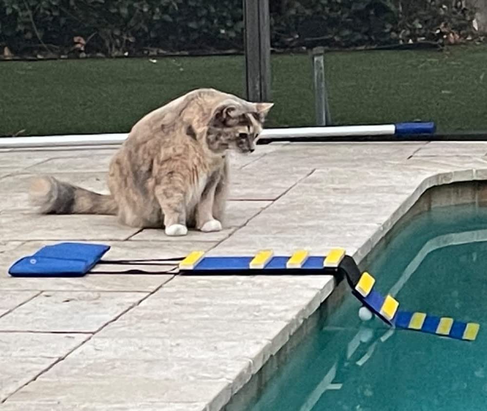 KHTS6310 ® Cat Pool Safety Escape Ramp-Original Made in USA