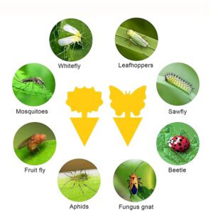 lanju 12pcs Plant Trap for Fruit Fly, Fruit Fly Sticky Trap for Mosquito and Bug Indoor & Outdoor for White Flies Mosquitos Fungus Gnats Flying Insects Houseplant