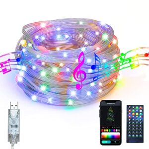 rcndje usb fairy string lights 33ft 100 led rgb color changing christmas tree lights with app&remote music sync timer usb powered home xmas indoor outdoor decorations string lights