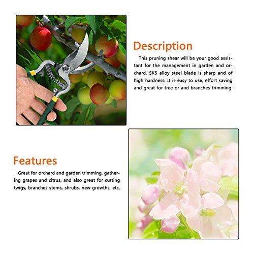 OKJHFD Professional Pruning Shears Garden Pruning Shears, SK5 Alloy Steel Super Sharp Fruit Tree Bonsai Pruning Shears Garden Scissors Grafting Tools Suitable for Gardening Tree Pruning