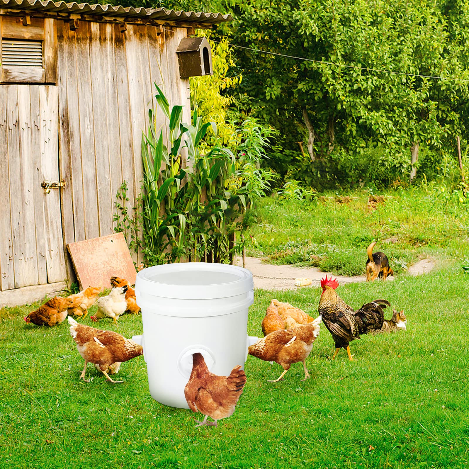 Chicken-Feeder，Chicken-Feeders-no-Waste，Chicken-Feeder-Port， Automatic Poultry Feeder Kit for Buckets, Barrels, Bins. (No Bucket), 6 Ports and a Holesaw Included