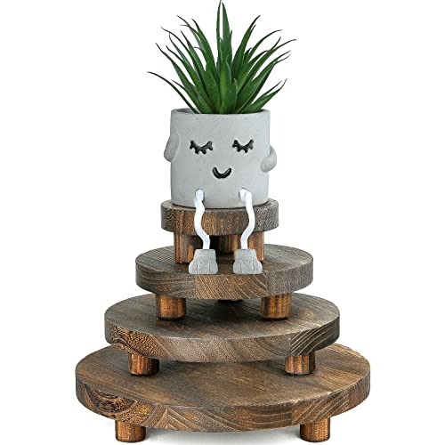 4 Pieces Wooden Plant Stand, Mini Displays Risers, Wood Round Stool Pedestal Riser Kitchen Bathroom Counter Decor Soap Holder Tiered Tray Decor Stand for Indoor Outdoor Home Patio Decoration (Brown)