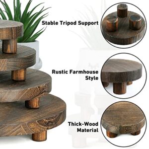 4 Pieces Wooden Plant Stand, Mini Displays Risers, Wood Round Stool Pedestal Riser Kitchen Bathroom Counter Decor Soap Holder Tiered Tray Decor Stand for Indoor Outdoor Home Patio Decoration (Brown)