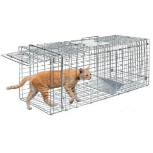 24" heavy duty squirrel trap for attic,humane cat trap small animal trap live traps for stray cats, rabbits, raccoons, skunks, possums and more rodents,collapsible steel catch and release animal cage