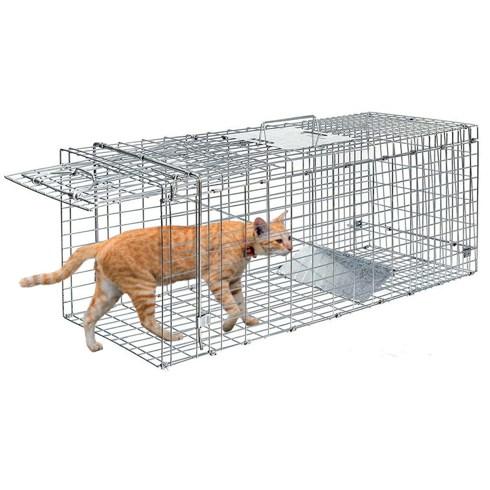 24" Heavy Duty Squirrel Trap for Attic,Humane Cat Trap Small Animal Trap Live Traps for Stray Cats, Rabbits, Raccoons, Skunks, Possums and More Rodents,Collapsible Steel Catch and Release Animal Cage