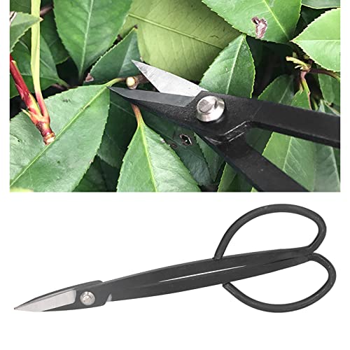 7.87In Bonsai Scissors Steel Rust Resistance Plant Branch Shears Pruning Scissors Bonsai Tools for Garden Flower Arrangement