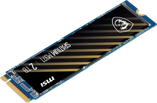 MSI SPATIUM M371 NVMe M.2 2TB Internal SSD PCIe Gen3 NVMe 3D NAND (SPATIUM M371 NVMe M.2 2TB)