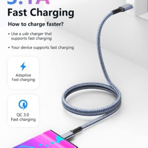 Fannoday USB C Cable 3ft, 3.2 Gen 2 USB A to C Cord, 10Gbps High Speed Data Transfer, 3.1A Type C Fast Charging Cable Compatible with Samsung Pixel Moto LG Phones SSD Powerbank Tablets Laptop, 1 Pack