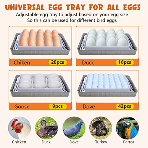 Incubators for Hatching Eggs, 20 Egg Incubator with Temperature & Humidity Display, Automatic Egg Turner and Water Adding, Temperature Control, with LED Egg Candler, for Hatching Chickens, Duck, Quail