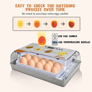 Incubators for Hatching Eggs, 20 Egg Incubator with Temperature & Humidity Display, Automatic Egg Turner and Water Adding, Temperature Control, with LED Egg Candler, for Hatching Chickens, Duck, Quail