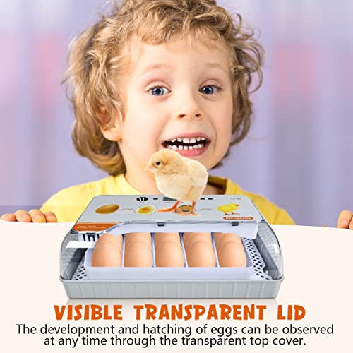 Incubators for Hatching Eggs, 20 Egg Incubator with Temperature & Humidity Display, Automatic Egg Turner and Water Adding, Temperature Control, with LED Egg Candler, for Hatching Chickens, Duck, Quail