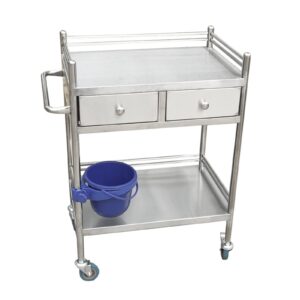 enkezi medical cart, medical trolley 2 tier heavy duty medical utility cart, trolley stainless steel serving lab equipment beverage cart, for hospital dental clinic home (size : 80x48cm(31.5x18.9in)