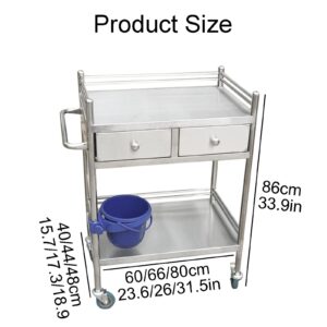 ENKEZI Medical Cart, Medical Trolley 2 Tier Heavy Duty Medical Utility Cart, Trolley Stainless Steel Serving Lab Equipment Beverage Cart, for Hospital Dental Clinic Home (Size : 80x48cm(31.5x18.9in)