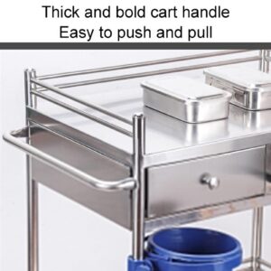 ENKEZI Medical Cart, Medical Trolley 2 Tier Heavy Duty Medical Utility Cart, Trolley Stainless Steel Serving Lab Equipment Beverage Cart, for Hospital Dental Clinic Home (Size : 80x48cm(31.5x18.9in)