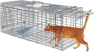 large animal trap cat trap for stray cats humane,small dogs,fox,rabbit,groundhog,squirrel,raccoon,chicken,opossum, 32inch live traps for animals outdoor indoor collapsible steel release cat trap cage