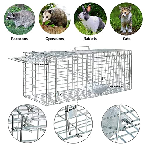 Large Animal Trap Cat Trap for Stray Cats Humane,Small Dogs,Fox,Rabbit,Groundhog,Squirrel,Raccoon,Chicken,Opossum, 32inch Live Traps for Animals Outdoor Indoor Collapsible Steel Release Cat Trap Cage