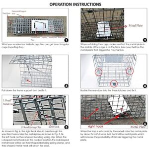 Large Animal Trap Cat Trap for Stray Cats Humane,Small Dogs,Fox,Rabbit,Groundhog,Squirrel,Raccoon,Chicken,Opossum, 32inch Live Traps for Animals Outdoor Indoor Collapsible Steel Release Cat Trap Cage