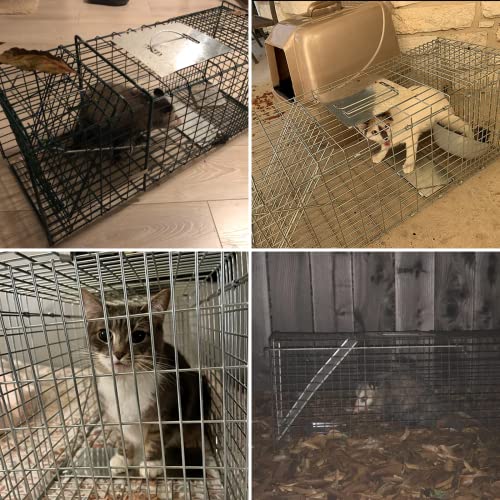 Large Animal Trap Cat Trap for Stray Cats Humane,Small Dogs,Fox,Rabbit,Groundhog,Squirrel,Raccoon,Chicken,Opossum, 32inch Live Traps for Animals Outdoor Indoor Collapsible Steel Release Cat Trap Cage