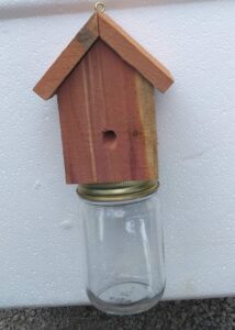 amish-made rustic carpenter bee catching device