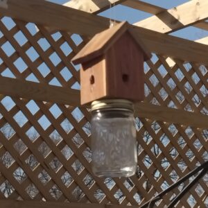 Amish-Made Rustic Carpenter bee catching Device