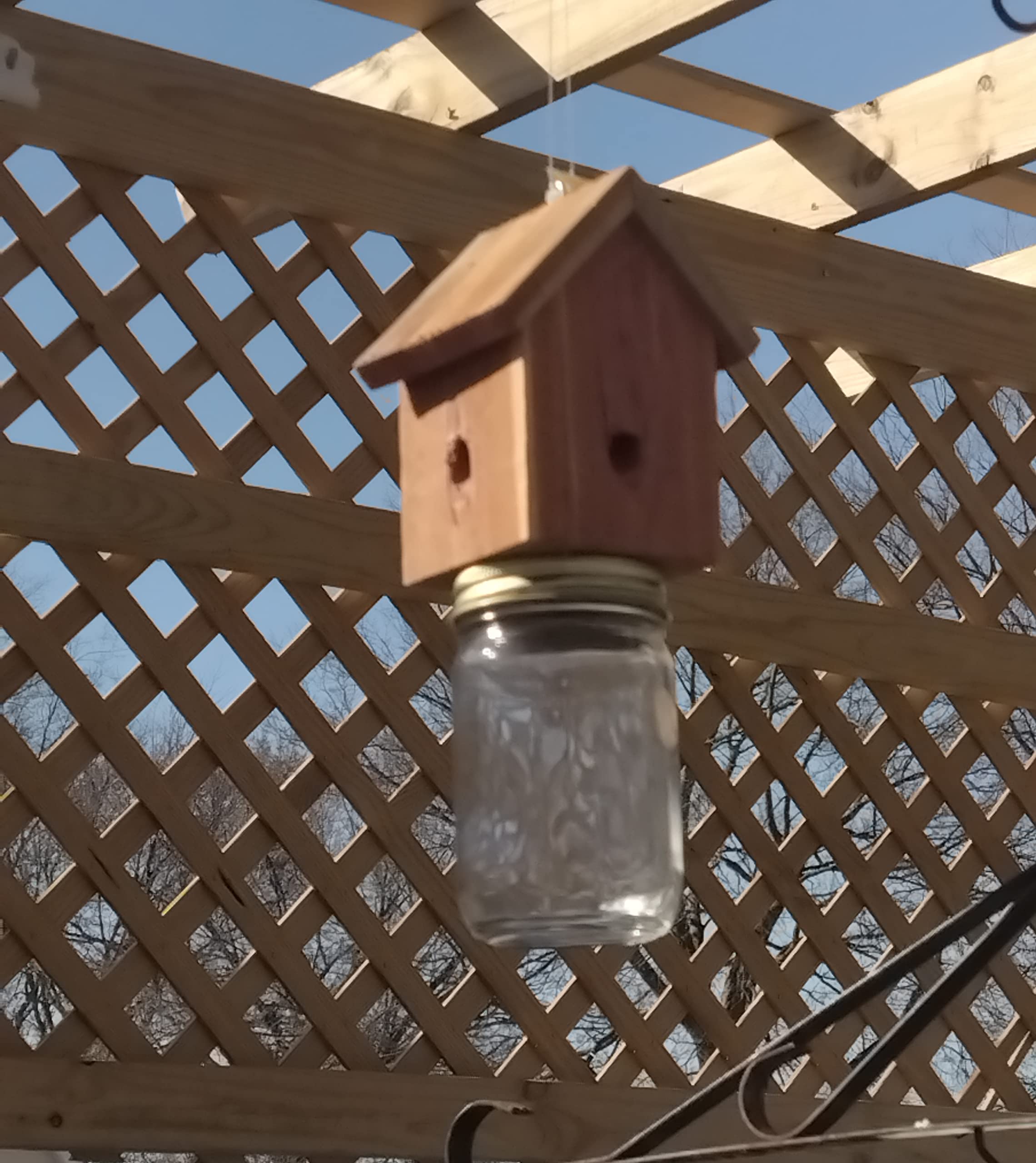 Amish-Made Rustic Carpenter bee catching Device