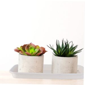 DOITOOL 3pcs Flower Pot Tray Garden Pot Tray Flowerpot Plant Dish Flower Pot Saucers Rectangular Planter Square Plant Saucer Flower Base Tray Plant Pot Tray Plastic Basin White Rectangle