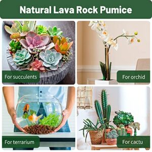 Red Lava Rock 5LB for Plants Garden Landscaping Decoration Aquarium Volcanic Horticultural Bonsai Terrarium Fish Tank Decorative Stone, Size from 0.25 to 0.35 Inches