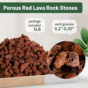 Red Lava Rock 5LB for Plants Garden Landscaping Decoration Aquarium Volcanic Horticultural Bonsai Terrarium Fish Tank Decorative Stone, Size from 0.25 to 0.35 Inches