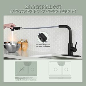 KZH Matte Black Kitchen Faucets with Pull Down Sprayer, Single Handle Kitchen Sink Faucet with Pull Out Sprayer with Deck Plate for Rv/Bar Sink/Laundry/Outdoor tap