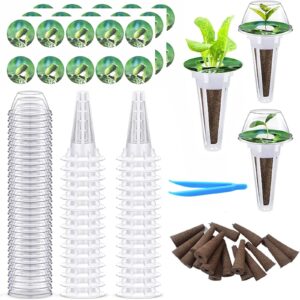 xfvfxzz 121 pcs seed pods kit compatible with aerogarden, suitable for hydroponics growing system for a variety of plants, outdoor and indoor hydroponics supplies