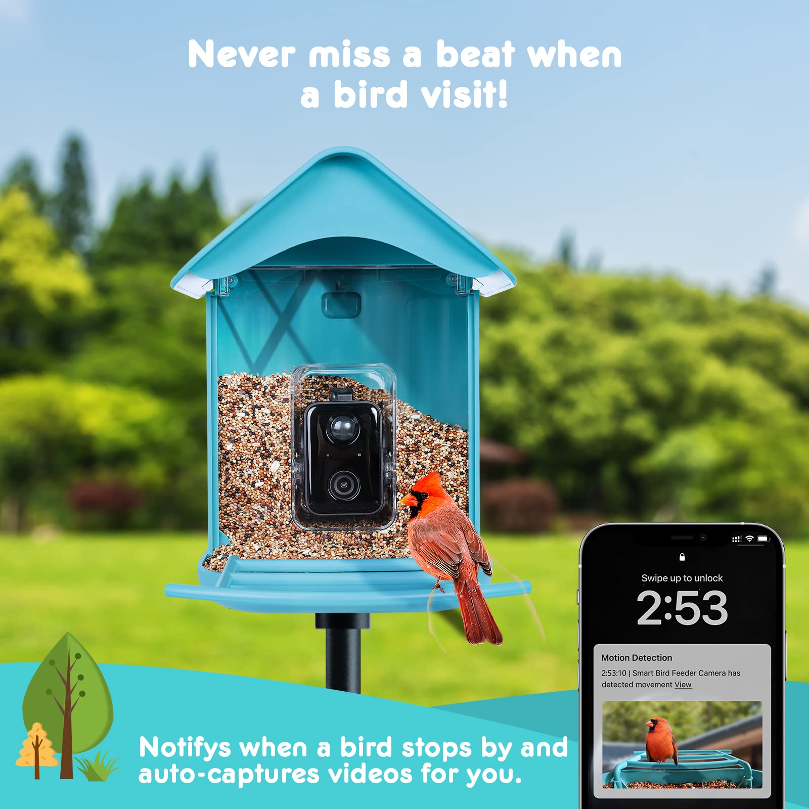 Cuckoo Smart Bird Feeder with Camera, Auto Capture Bird Videos with APP, Motion Detection Solar Charging Bird House for Outdoor use, for Bird Watchers(WiFi 2.4GHz)