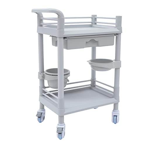 Esthetician Cart 2 Tier Rolling Utility Cart with Table Top, Dental Lab Medical Cart, ABS Beauty Salon Trolley Cart Lash Cart Organizer, Makeup Cart with Wheels & Dirt Buckets, Max Load 33 lbs