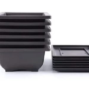 CZ Grain 6 Inch Bonsai Pots and Drip Trays - Starter Bonsai Pots, Small Bonsai Pots (6 Pots)