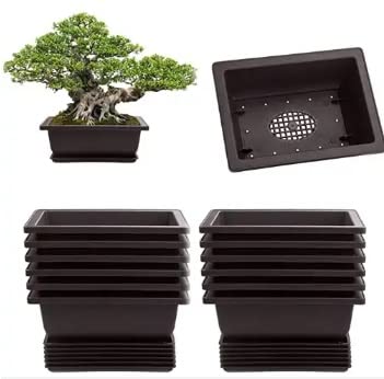 CZ Grain 6 Inch Bonsai Pots and Drip Trays - Starter Bonsai Pots, Small Bonsai Pots (6 Pots)