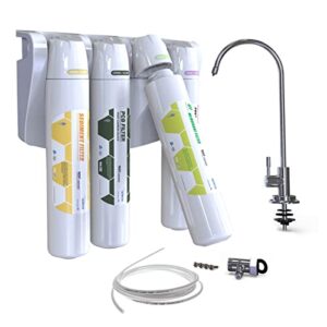 healsumm 4-stage under sink water provider system for home use - direct connect, nsf/ansi 42 element, kc certified, quick change, made in korea (package including faucet)
