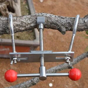 MYCENSE Bonsai Branch Bender Tree Branch Regulator Bonsai Cutter Branch Modulator Trimming Gardening Hand Tools Adjustment