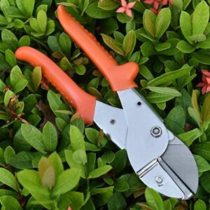 ATAAY Trimming tool Pruning shears gardening fruit tree shears garden tools bonsai gardening pruners grafting tools weeders Used for garden and lawn mowing work (Color : Red) (Red )