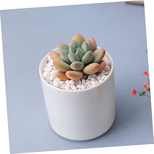 HANABASS 2pcs Bonsai Succulent for Ceramic Mini Outdoor Pottery Cute Pot Ceramics Container Home Plant Center Arrangement Desktop Garden White Round Flowerpots Indoor Cactus Nursery