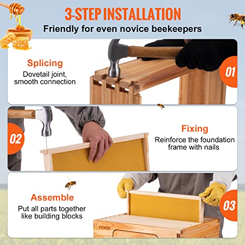 VEVOR Bee Hive, 10 Frame Complete Beehive Kit, Dipped in 100% Natural Beeswax Includes 2 Deep Brood & 2 Medium Honey Super Boxes with Waxed Foundations, for Beginners & Pro Beekeepers, 4 Layer